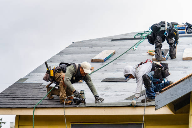 Professional Roofing technician working in Castleford, ID